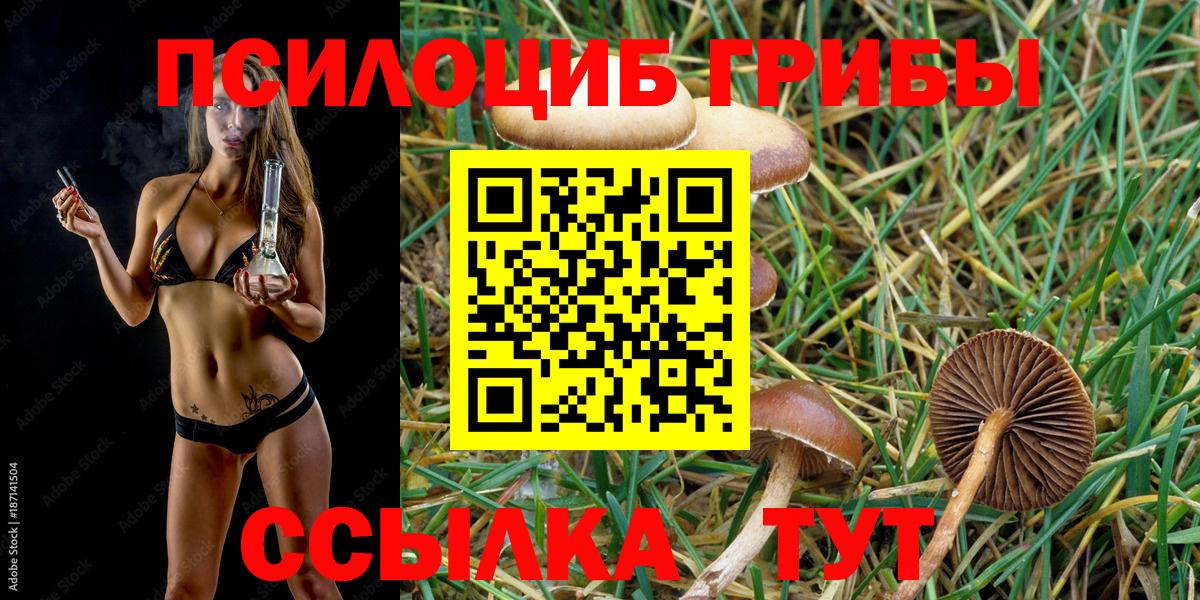 Псилоцибиновые грибы Psilocybine cubensis Ишимбай